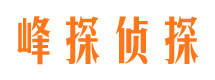 温泉市出轨取证